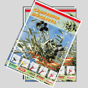 CAMPANHA OLIVAL